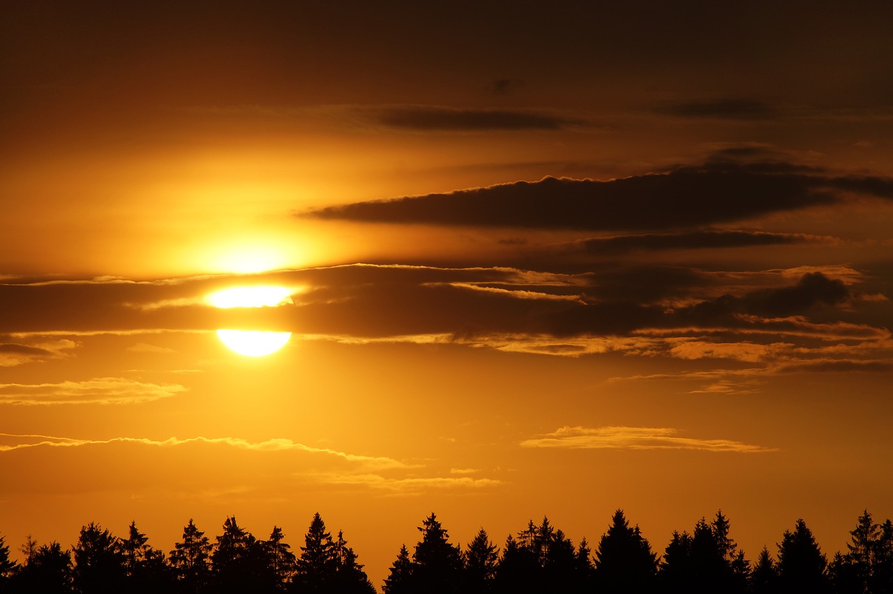 Back to Life: Healing the Mind After Physical Trauma